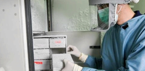 Ein Laborarbeiter nimmt eine Schachtel aus einem Kühlfach