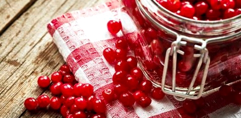 Cranberry gegen Blasenentzündung