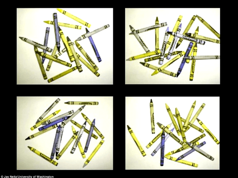 Bunte Stifte aus Sicht von Farbenblinden
