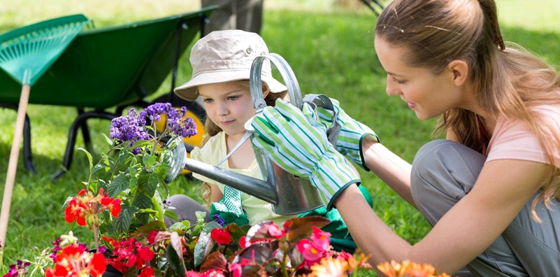 Tragen Sie bei der Gartenarbeit Handschuhe, um sich vor mit Toxoplasmose infizierter Erde zu schützen
