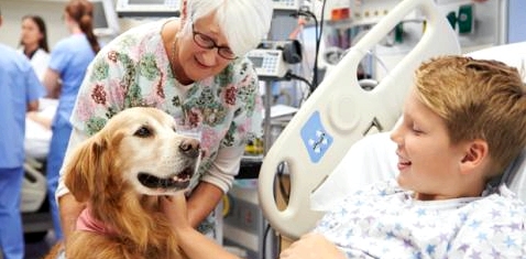 Ein Junge im Krankenhaus streichelt einen Hund