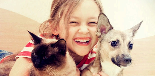 Allergierisiko von Haustieren auf Kinder ungeklärt