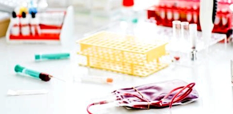 Wissenschaftler schaffen künstliches Blut