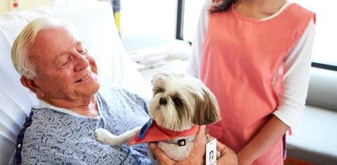 Ein Mann im Krankenhaus hat Besuch von seinem Hund