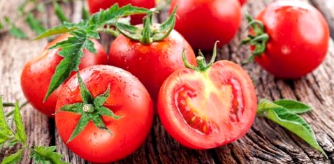 Tomaten helfen die Blutfette auszubalancieren